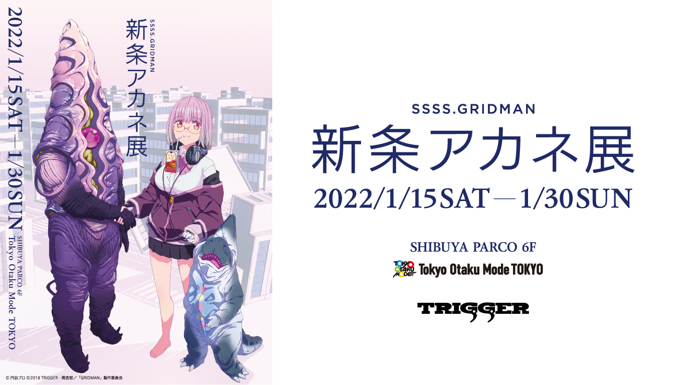 逸品】 SSSS.GRIDMAN くじ A賞 等身大 タペストリー 新条アカネ